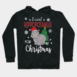 I Want A Hippopotamus For Christmas Hoodie